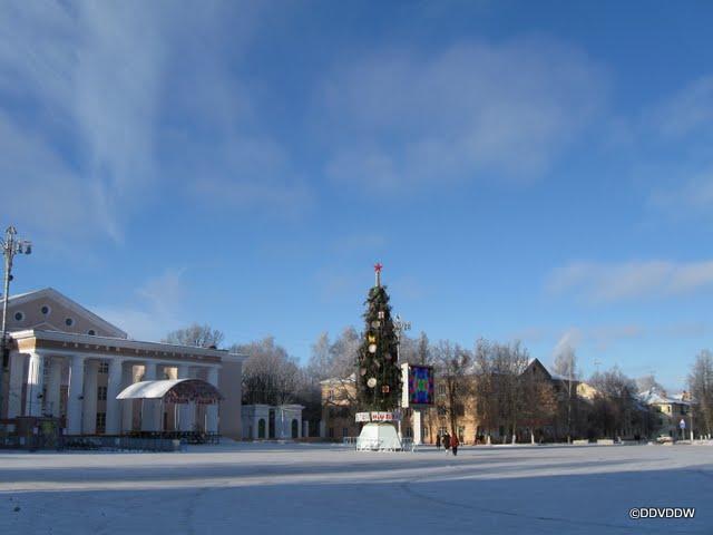 Фото в щекино