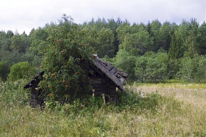 Синоптик сорокино