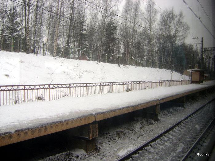 Поваровка калининград