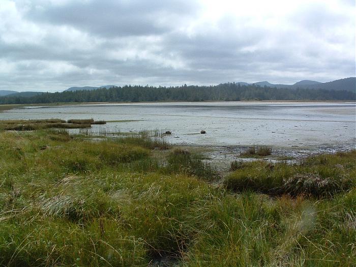 Hansen Lagoon