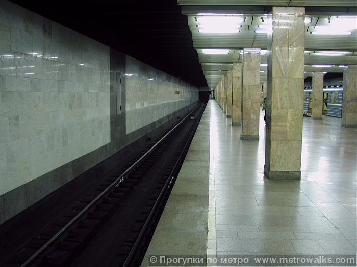 Печатники станция метро люблинско дмитровская. Печатники (станция метро, Люблинско-Дмитровская линия). Станция Печатники ЛДЛ. Станция метро Печатники вестибюль. Метро Печатники 1995.