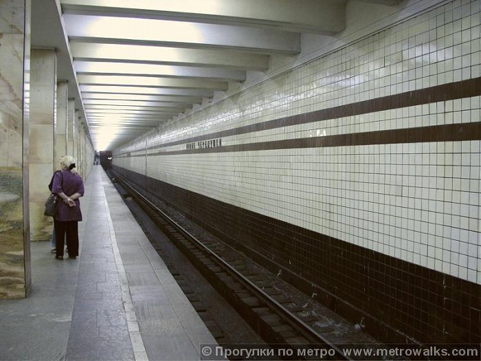 Метро черемушки. Станция Черемушки Москва. Профсоюзная Калужская Рижская линия. Станция метро Черемушки. Станция метро новые Черемушки.