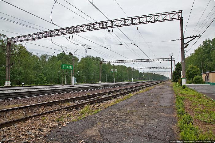 Местное московское. Станция Усады Московская область. БМО железная дорога Сандарово. Усады окружные станция. ЖД станция Коваши.