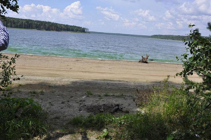 Макаровское водохранилище. Верхнемакаровское водохранилище Екатеринбург. Макаровское водохранилище Курганово. Курганово озеро. Верхне Макаровское водохранилище Свердловская область.