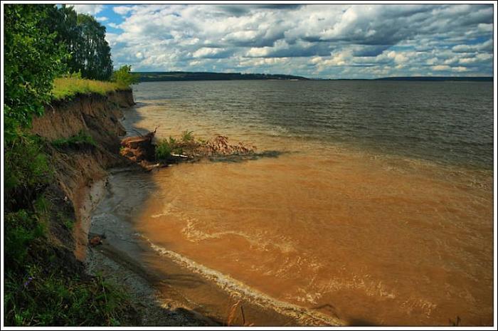 Сурское море пенза фото