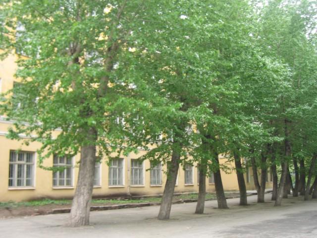 Муниципальные общеобразовательные учреждения екатеринбурга