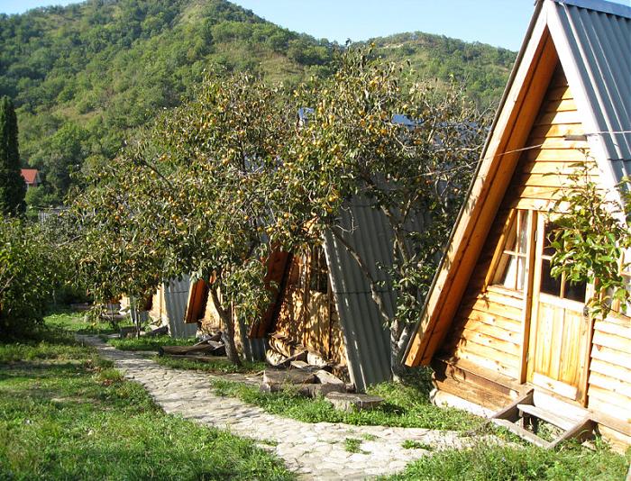 Туапсинский район дедеркой фото