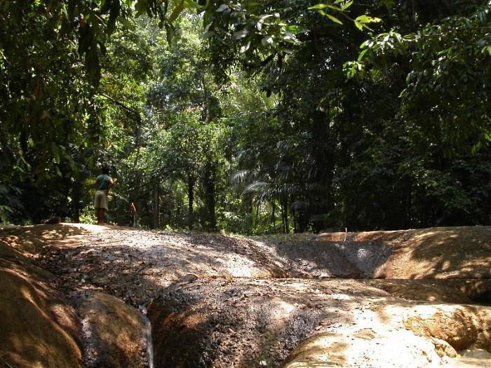 Ujung Kulon National Park