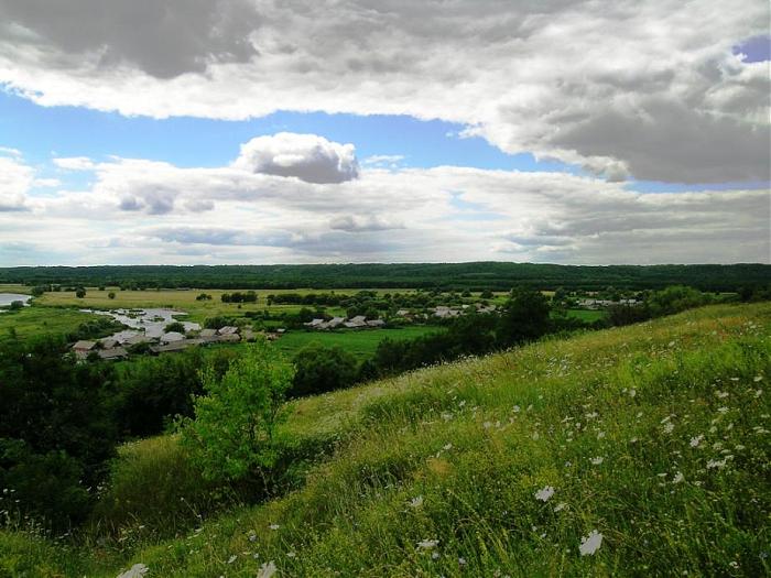 Курском бел. Село Бобрава Беловского района Курской области. Бобрава Курская область Беловский район белая. Стригослы Беловского района. Слобода Курская область.