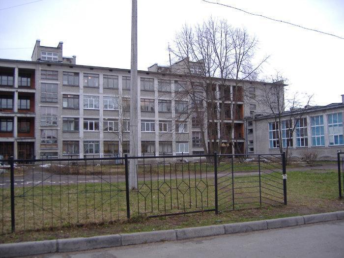 Школьная 42 санкт петербург. 530 Школа Пушкин. ГБОУ лицей 408 Пушкинского района Санкт-Петербурга. Школа 530 Пушкинского района. 408 Школа Пушкинского района.