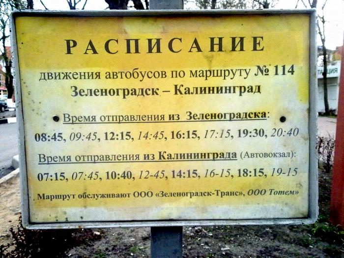 Расписание автобусов калининград зеленоградск