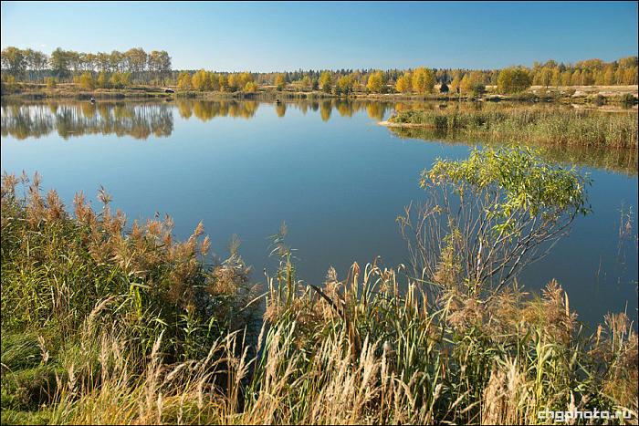 Ямкино московская. Ямкино озеро. Село Ямкино Ногинский район озеро. Ямкино Ногинский район пруд. Озеро в Ямкино Ногинский район.