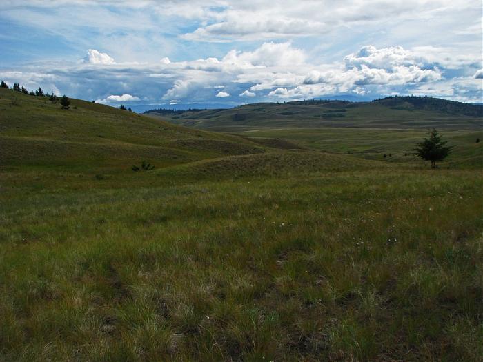 Lac Du Bois Grasslands Protected Area