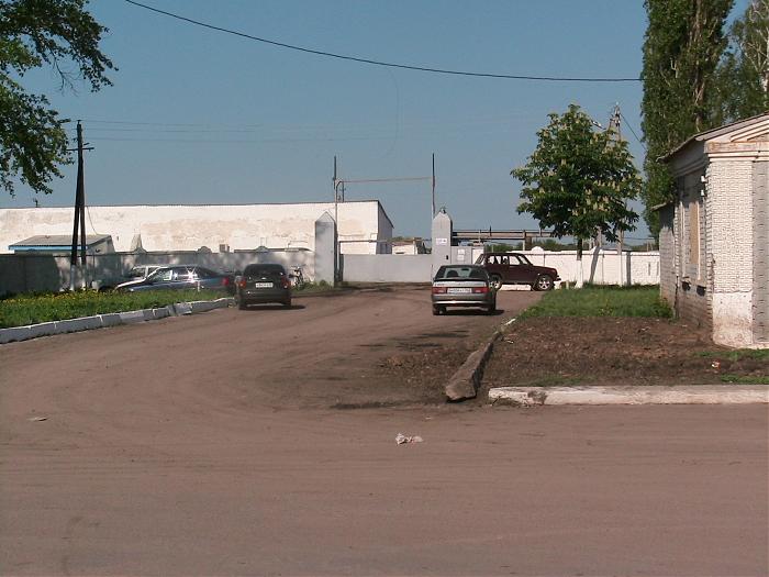 Погода в воронежском совхозе