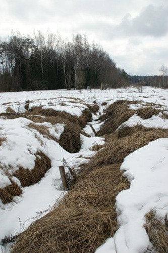 Траншея трава. Траншея на траве.