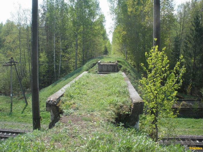 Белые берега мост. Белобережская УЖД. Опора моста УЖД. Белобережская узкоколейная железная дорога. Узкоколейка белые берега.