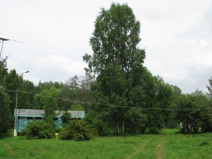 База отдыха быстрово малопургинский район фото