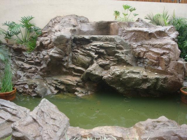 Garden With Mini Falls & Ponds - Quezon City