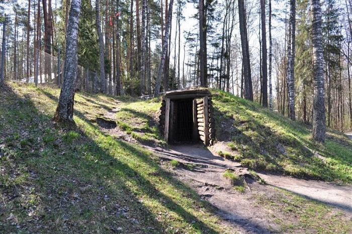 Партизанская землянка в лесу