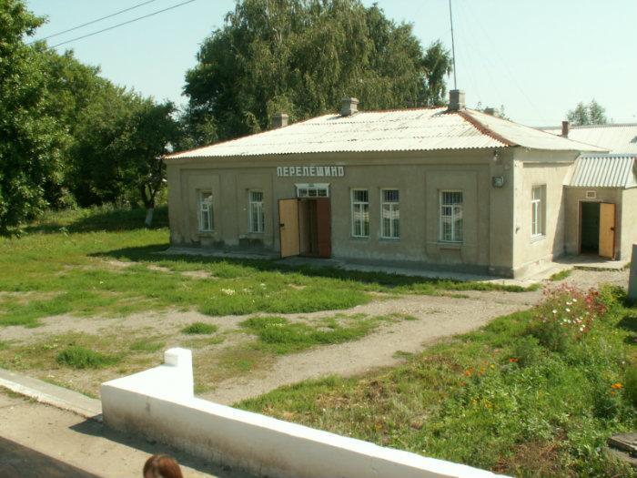 Перелешино воронежская. Панинский район поселок Перелешино. Поселок Перелешино Воронежская область. П. Перелешино Панинский район Воронежская область. Станция Перелешино.