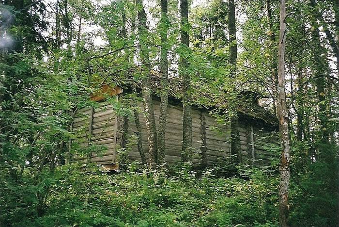 Эссойльское сельское поселение. Проккойла Карелия. Деревня Плоскозеро Пряжинский район. Деревня Сона Пряжинский район. Лагерь Восток 3 Пряжинский район Карелия.