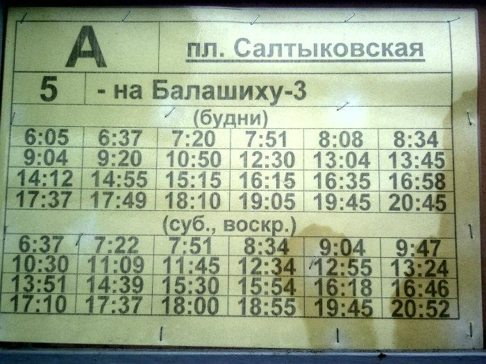 Расписание автобусов Балашиха. Автобусы в Балашихе. Автобус 110 Новогиреево Балашиха. Автобус балашиха никольское