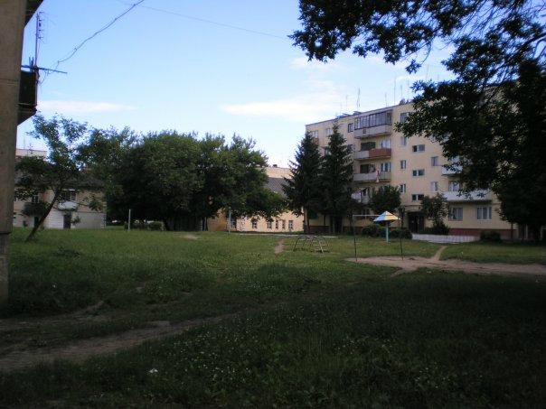 Новый калинов