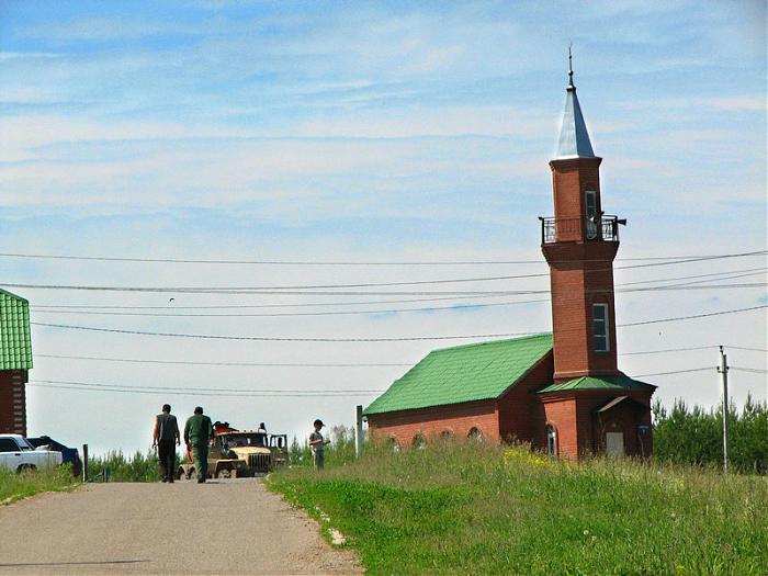 Ижевка. Мечеть в Лаишево. Ижевка Татарстан. Ижевка Менделеевский район. Вешкайма мечеть.