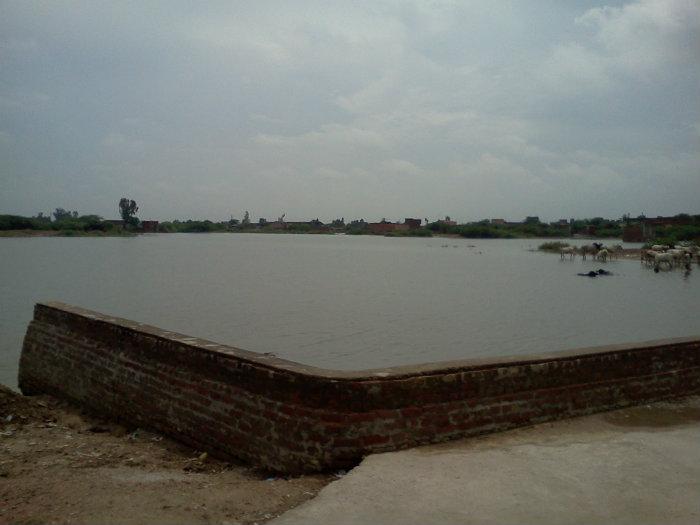 pond of beri wali mata - Beri