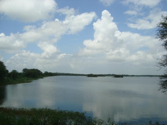 Thol Bird Sanctuary Check Post