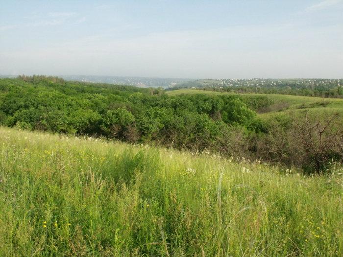 Погода в районе балки