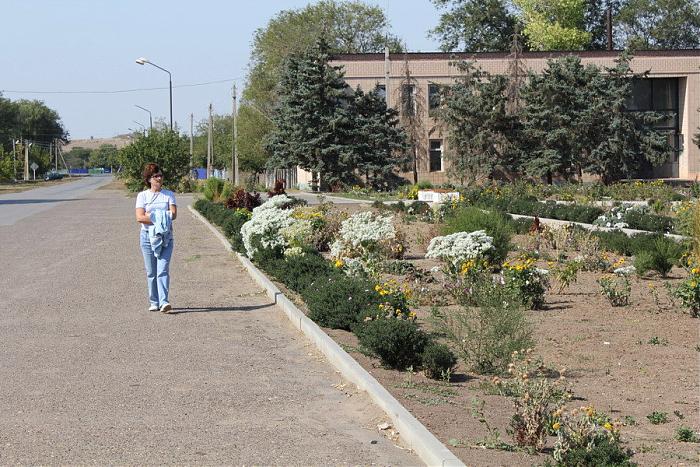 Погода ростовская область хутор камышевка