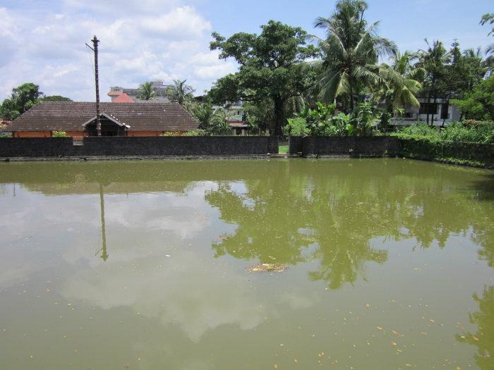 Elamkulam Temple Pond - Kochi