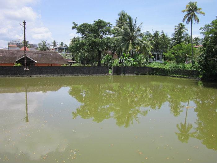 Elamkulam Temple Pond - Kochi