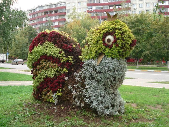 Растения раменского района московской области. Зеленые фигуры в Раменском.
