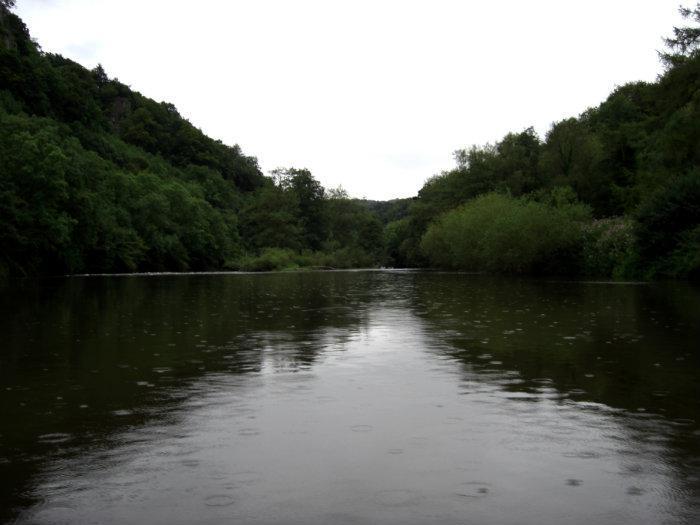 Symonds Yat Rapids