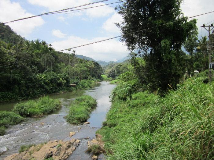 Kunchithanni Bridge