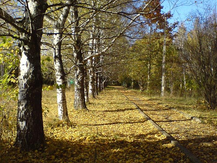 Торты сниисх михайловск