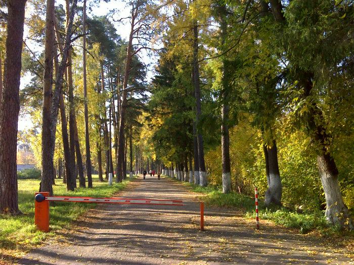 Ногинск глухово московская область