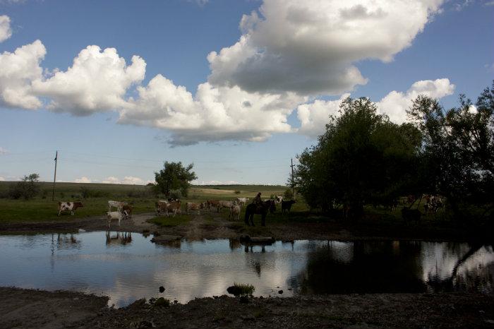 Д брод. Каменный брод через ручей. Давыдов брод. Брод каменск-уральский. Деревня брод свердловская область.