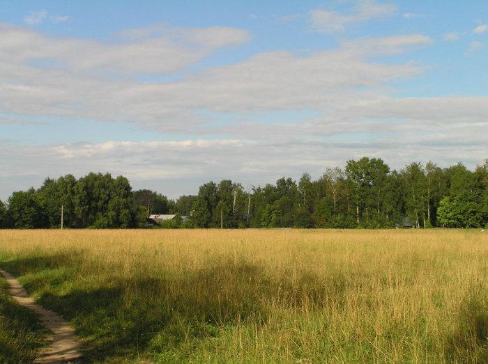 Бурковское поле. Бурковские поля Королев. Болшево Бурковское поле. Валентиновка Бурковское поле