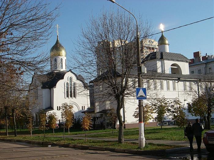 Храм александра невского балашиха фото