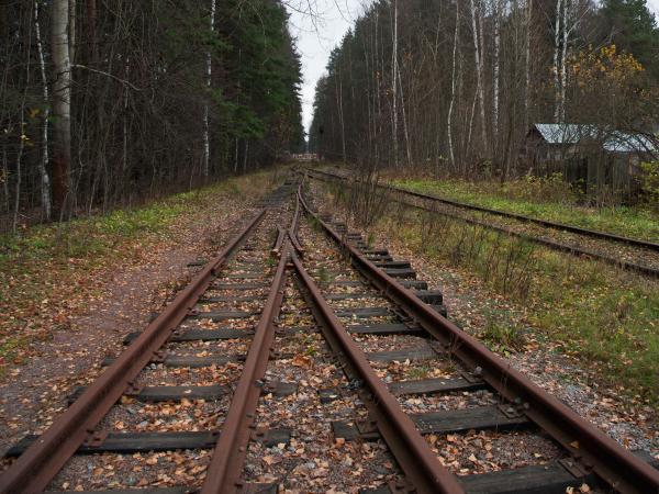 Ст лес. Станция Лесная МОЖД. МОЖД Лесная Береговая. Парголово окт ЖД. Станция Лесная 2.