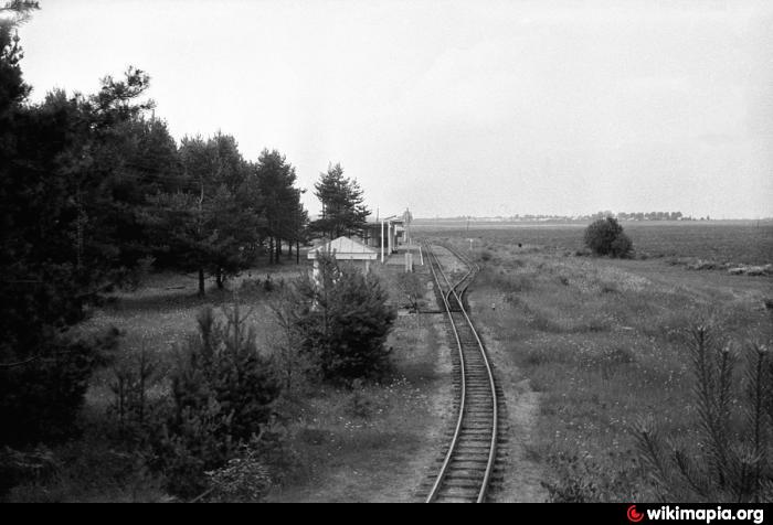 Станция луговая фото