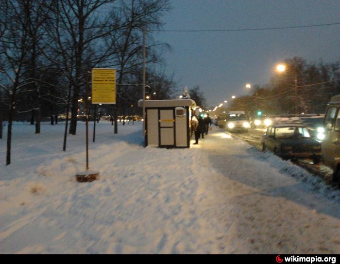 Метро орехово кафе. Парк Орехово Москва.