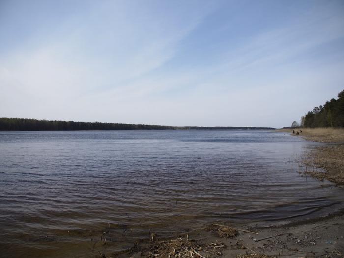 Липовское озеро в ленинградской области фото
