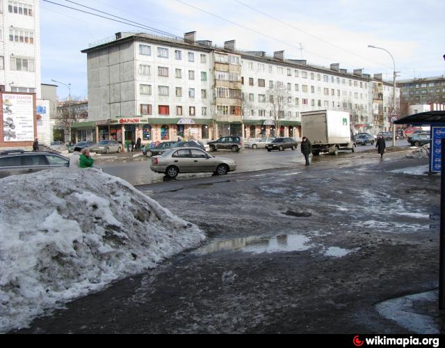 Книповича 43 мурманск кружка