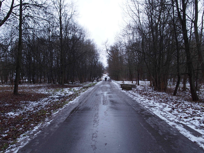 Красносельский сад. Красносельский театр красное село. Летний театр красное село. Красносельский летний театр. Театр в Красном селе СПБ.