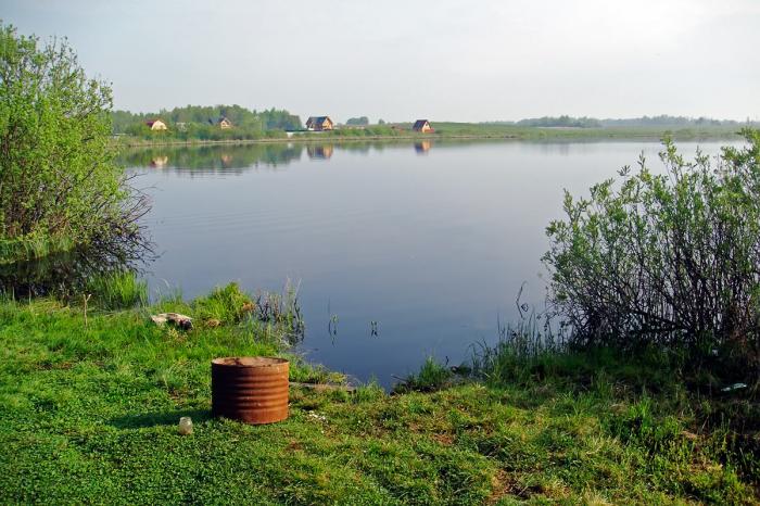 Боровск комлево. Озеро Боровск. Оз комлевское Боровск. Озеро Комлево Калужская область.