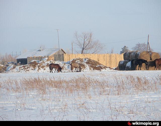 Котляровка харьковская область освобождена. Село Красноярское Алтайский край. Котляровка Поспелихинский район Алтайский край. С Красноярское Поспелихинский район Алтайский край. Котляровка село.